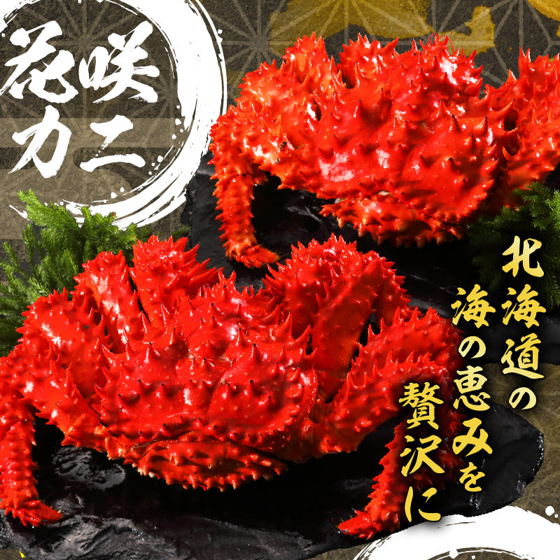 【簡単お手軽!!】北海道産 花咲カニとこんぶの炊き込みご飯の素(3合炊き×2個)_030102