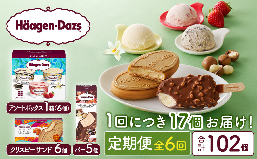 ＜全6回定期便・連続＞ハーゲンダッツ『3種の贅沢ギフトセット(合計102個)』アイスクリーム アイス スイーツ デザート_H0016-1431