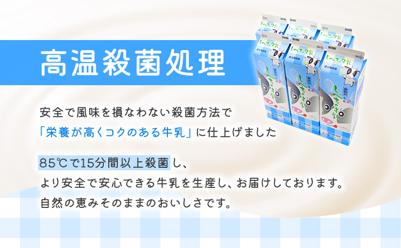 【3カ月定期便】北海道　しべちゃ牛乳（1000ml）×6本