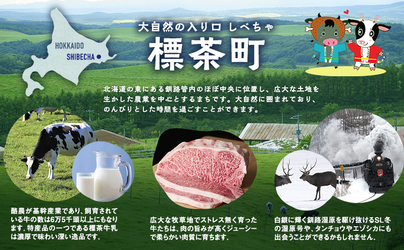 【2カ月定期便】北海道産 豚ロース使用 生姜焼き 味付け肉 375g×4パック 豚肉