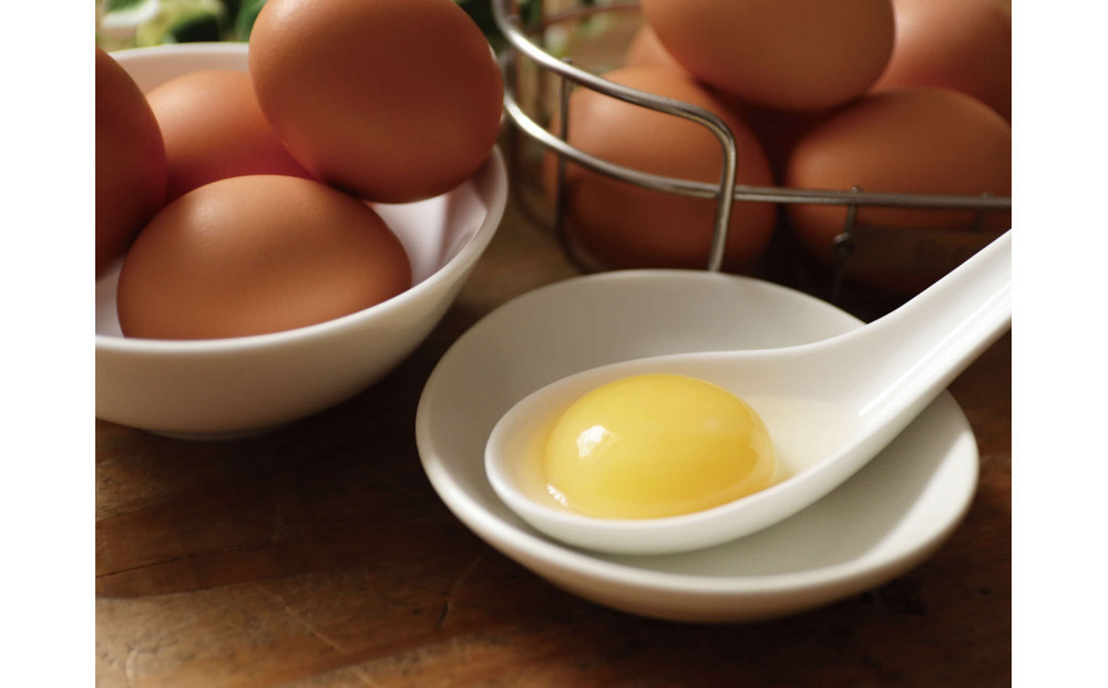 ããããé€é¶å Žãæç²Ÿåµ èš60åïŒ10åÃ6ããã¯ïŒã ããŸã ãããé€é¶å Ž ãã¶ãŒã ã±ãŒã ãèå æšè¶çº åæµ·é ã