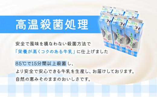 【3カ月定期便】北海道　しべちゃ牛乳（1000ml）×6本