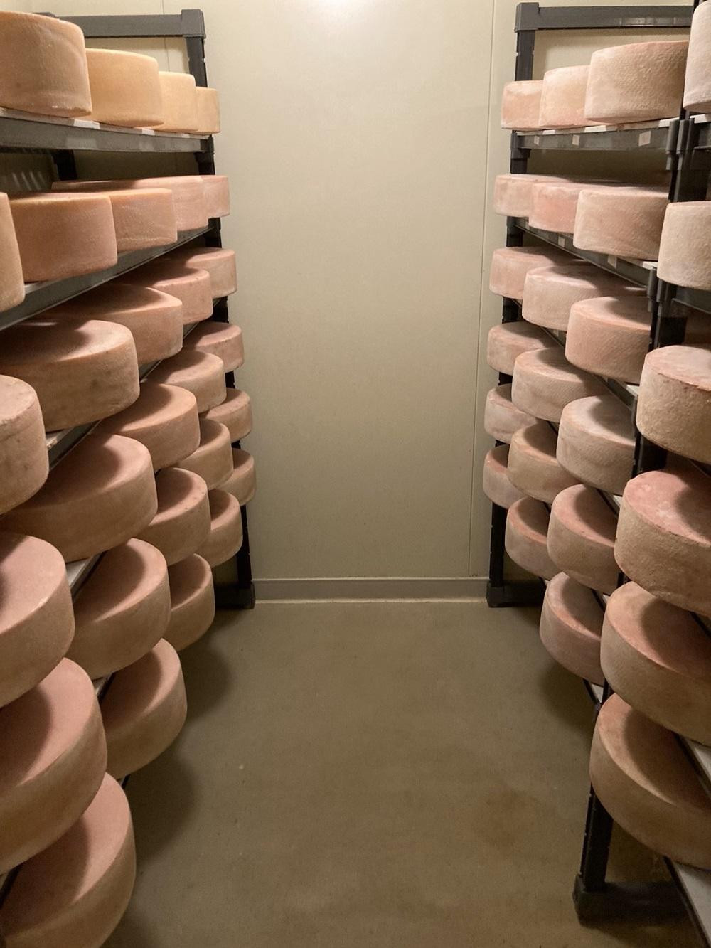 åæµ·éæšè¶çºãé·åç§å ŽããŒãºå·¥æ¿ãæ¬æ ŒæŽŸããã¥ã©ã«ããŒãºïŒçš®è©°ãåããã»ããã ããã¥ã©ã«ããŒãº 乳補å çºé
µ çæ ã°ã«ã¡ ã®ãã ãåãå¯ã æšè¶çº åæµ·é ã