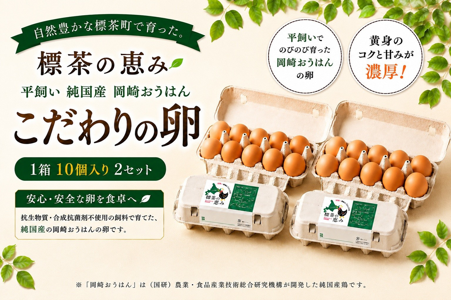 標茶の恵み「平飼い 純国産 岡崎おうはん　こだわりの卵 １箱10個入り2セット」
