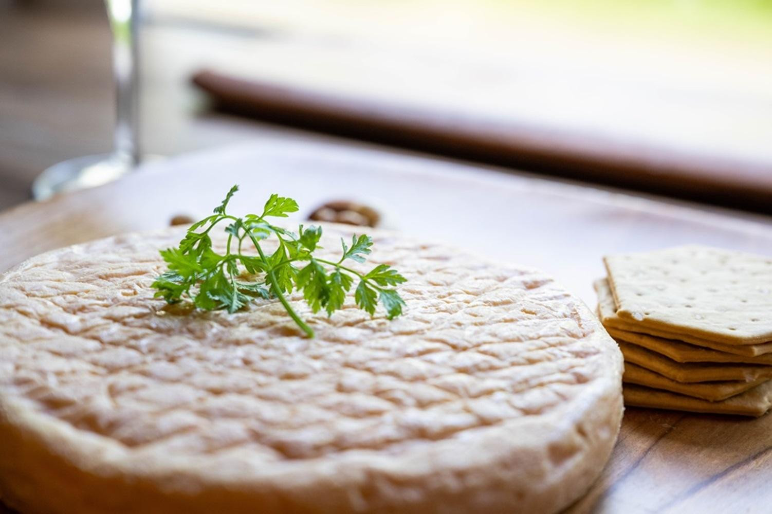 åæµ·éæšè¶çºãé·åç§å ŽããŒãºå·¥æ¿ããŠã©ãã·ã¥ããŒãº ãã®ã¿ 1ããŒã«500gååŸã ããã¥ã©ã«ããŒãº 乳補å çºé
µ çæ ã°ã«ã¡ ã®ãã ãåãå¯ã æšè¶çº åæµ·é ã