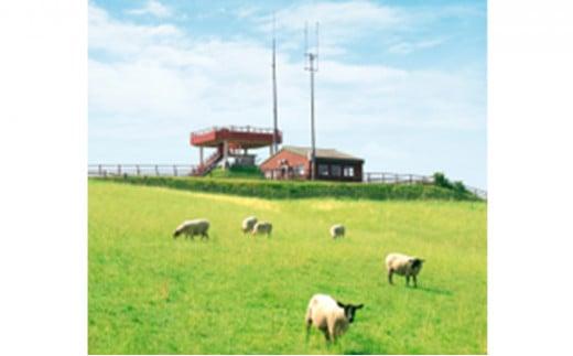 北海道産しべちゃサフォーク（羊肉）生ラム　食べ比べセット300g（リブロース・カルビ・モモ各100g）