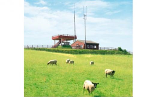 北海道産 しべちゃサフォーク（羊肉）生ラム プレミアムセット400g （ヒレ・リブロース・カルビ・モモ各100g）