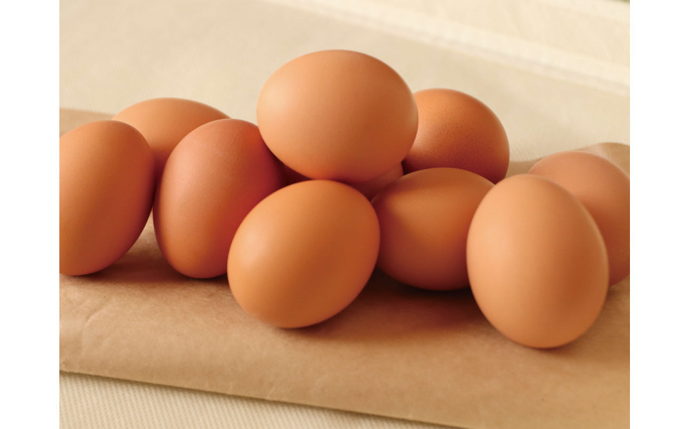 ããããé€é¶å Žãæç²Ÿåµ èš60åïŒ10åÃ6ããã¯ïŒã ããŸã ãããé€é¶å Ž ãã¶ãŒã ã±ãŒã ãèå æšè¶çº åæµ·é ã