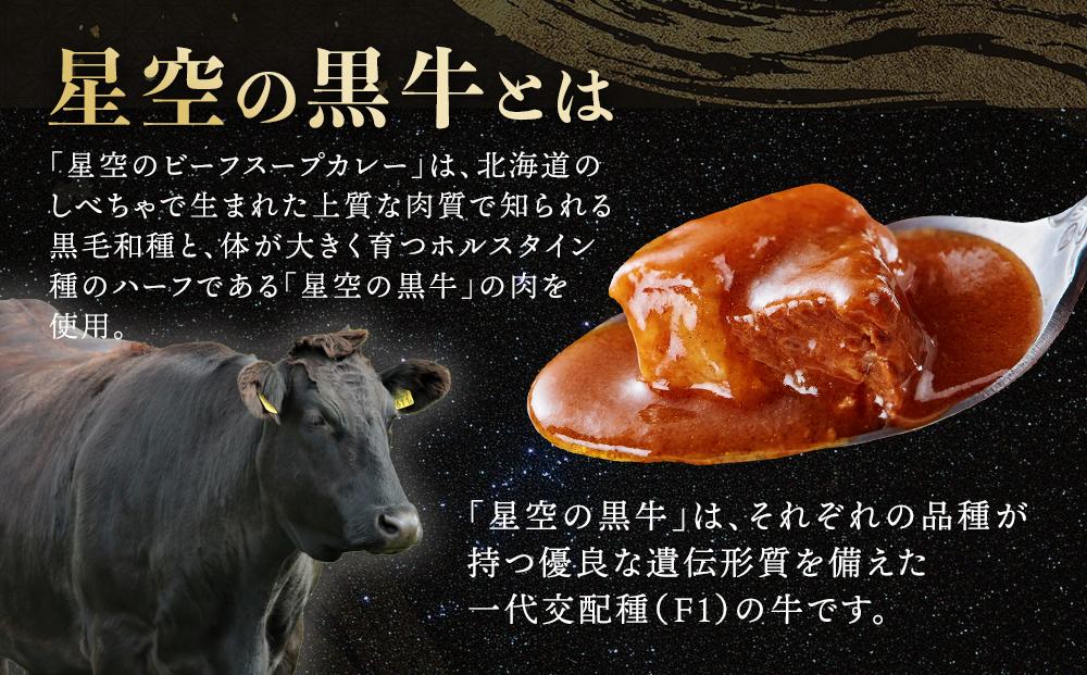 「星空の黒牛」カレー・シチュー・スープカレーセットE 12食【 ビーフシチュー カレー スープカレー 加工品 肉加工品 おうちごはん 簡単調理 レトルト セット グルメ ギフト お取り寄せ 標茶町 北海道 】