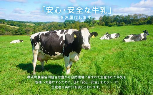 【6カ月定期便】北海道　しべちゃ牛乳（1000ml）×6本