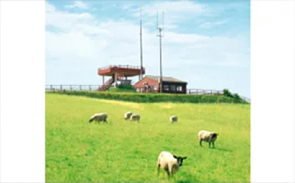 北海道産 標茶 羊肉のデミボロネーゼソース　4食セット