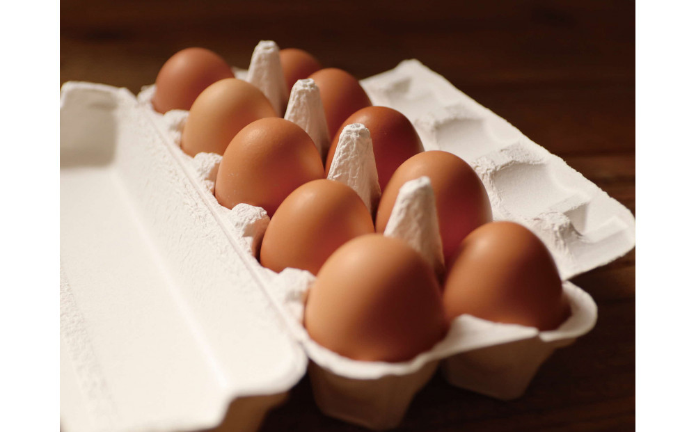 ããããé€é¶å Žãæç²Ÿåµ èš60åïŒ10åÃ6ããã¯ïŒã ããŸã ãããé€é¶å Ž ãã¶ãŒã ã±ãŒã ãèå æšè¶çº åæµ·é ã