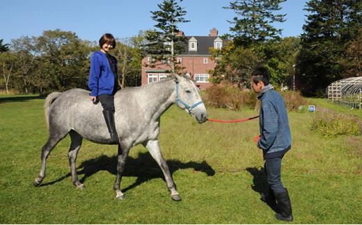【ヘイゼルグラウスマナー】60分乗馬体験チケット1名様分（リバーサイドコース）｜チケット 体験 乗馬 乗馬体験 北海道 標茶町 ヘイゼルグラウス 自然 アウトドア スポーツ レジャー リラックス アクティビティ 