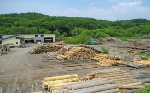 ACQカラマツ枕木（200×105×1000）2本セット【 天然木 DIY ガーデン お庭 アウトドア 木製 標茶町 北海道 】