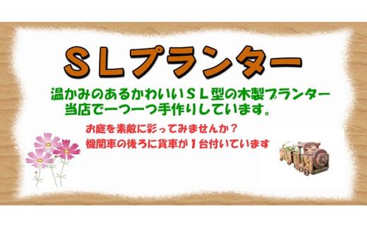 ãã¬ãŒããã³ã°ããã©ã³ã¿ãŒã380åã å€©ç¶æš DIY ã¬ãŒãã³ ãåº ã¢ãŠãã㢠æšè£œ ãã©ã³ã¿ãŒ æšè¶çº åæµ·é ã