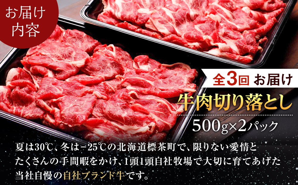 【3か月 定期便】北海道産 星空の黒牛 切り落とし 約1kg（500g×2） 牛肉
