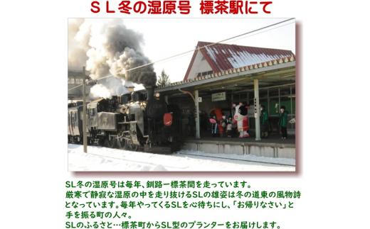 ãã¬ãŒããã³ã°ããã©ã³ã¿ãŒã380åã å€©ç¶æš DIY ã¬ãŒãã³ ãåº ã¢ãŠãã㢠æšè£œ ãã©ã³ã¿ãŒ æšè¶çº åæµ·é ã