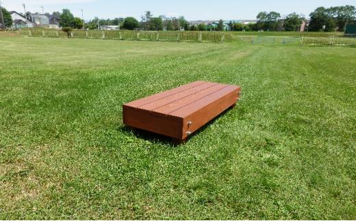 åæµ·éç£å€©ç¶æšã®èžã¿å°ãnukumoriãã¬ããããwide 215