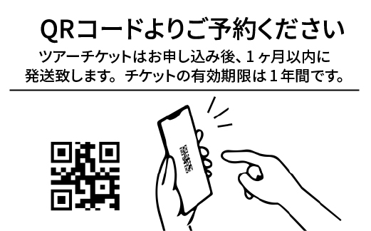チケットJAL クーポン　計30000円分