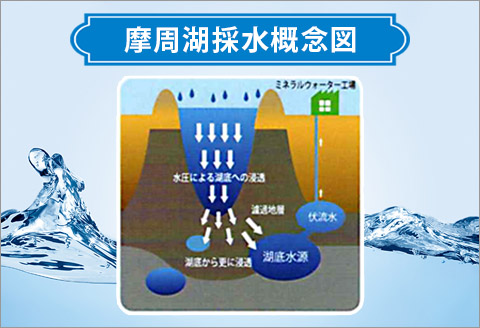 1158.定期便 12回 摩周湖の天然水（非加熱製法） 500ml×24本 計288本 硬度 18.1mg/L ミネラルウォーター 飲料水 軟水 非加熱 弱アルカリ性 湧水 湧き水 ナチュラル ペットボトル 阿寒摩周湖国立公園 国産 屈斜路湖 北海道 弟子屈町