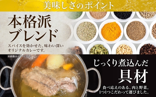 3443.  おためし 弟子屈 チキンレッグスープカレー 1個 お試し スープカレー チキンカレー レトルト カレー 北海道 弟子屈町