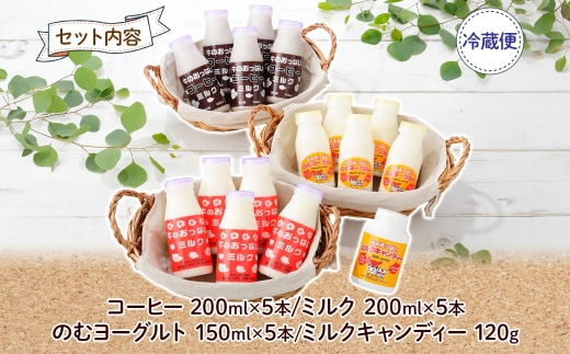 784.牛のおっぱいミルク 5本 コーヒーミルク5本 のむヨーグルト5本 計15本 おっぱいミルクキャンディー1個 セット 牛乳 生乳 ミルク 牛 酪農 飲料 しぼりたて 珈琲 ヨーグルト 飴 お取り寄せ ギフト gift まとめ買い 北海道 弟子屈町