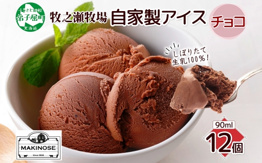 3221. 牧之瀬牧場 自家製アイス チョコ 90ml 12個 アイス 氷菓子 チョコ味 チョコレート フレーバー 牧場 手作り セット おやつ デザート スイーツ 冷凍 ギフト 送料無料 北海道 弟子屈町