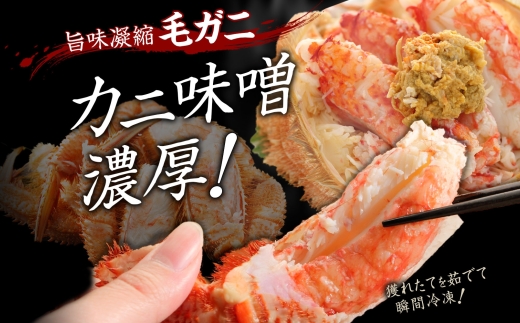 2458.毛蟹 2尾 計700g前後 食べ方ガイド・専用ハサミ付 カニ かに 蟹 海鮮 ボイル 送料無料 北海道 弟子屈町