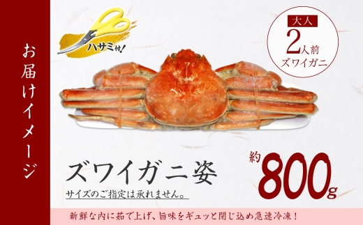 3182. カニ ズワイガニ 姿 800g かに カニ 蟹 蟹姿 ズワイ蟹 ずわいがに ずわい蟹 ボイルズワイガニ ギフト すがた 丸ごと 送料無料 北海道 弟子屈町