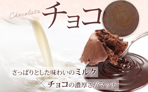 3220. 牧之瀬牧場 自家製アイス チョコ 90ml 6個 アイス 氷菓子 チョコ味 チョコレート フレーバー 牧場 手作り セット おやつ デザート スイーツ 冷凍 ギフト 送料無料 北海道 弟子屈町