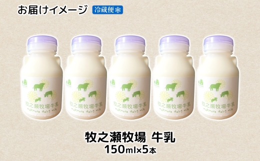 3453. 牧之瀬牧場 牛乳 150ml×5本 牛乳 牛 乳 みるくミルク ノンホモジナイズド牛乳 脂肪 放牧 濃厚 搾りたて 甘い クリーミー さっぱり 牛耳ボトル 可愛い ギフト 冷蔵 牧之瀬牧場 北海道 弟子屈町
