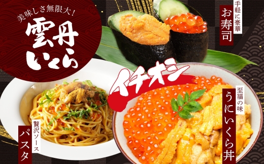 2495. ウニ チリ産 冷凍 100g×2個 いくら 200g 二色丼 うに イクラ 海鮮 期間限定 数量限定 送料無料 北海道 弟子屈町