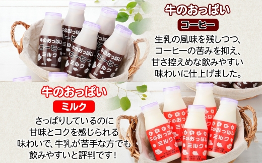 784.牛のおっぱいミルク 5本 コーヒーミルク5本 のむヨーグルト5本 計15本 おっぱいミルクキャンディー1個 セット 牛乳 生乳 ミルク 牛 酪農 飲料 しぼりたて 珈琲 ヨーグルト 飴 お取り寄せ ギフト gift まとめ買い 北海道 弟子屈町