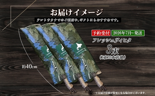 2026幎 7æä»¥éé æ¬¡çºé 1511. ãã¬ãã·ã¥ çœæšº ãŽã£ãã¿ 3æ åæµ·é çœæšº ãŽã£ãã¿ ã¢ãã ãŠã£ã¹ã¯ ã€ã³ããªã¢ ãµãŠãã°ã㺠ãµãŠã ãã³ããµãŠã åæµ·é åŒåå±çº