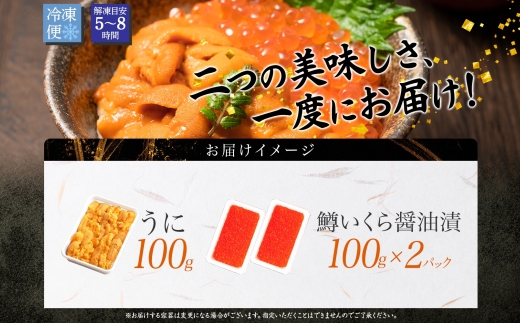 2499. 雲丹 100g 鱒いくら醤油漬け 100g×2個 うに ウニ チリ産 冷凍 いくら イクラ ます マス いくら醤油 お取り寄せ 魚卵 海鮮丼 二色丼 海鮮 寿司 送料無料 北海道 弟子屈町