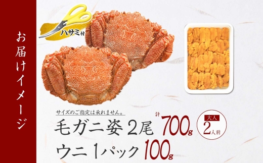 2460. 毛蟹 2尾 計700g前後 うに チリ産 冷凍 100g 専用ハサミ・食べ方ガイド付き 毛ガニ 毛がに 蟹 カニ かに 蟹肉 カニ味噌  ウニ 雲丹 海鮮 ボイル 北海道 弟子屈町