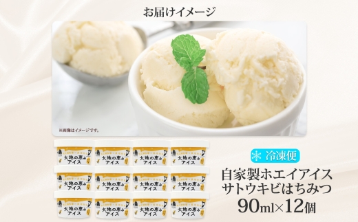 3452. ç§ä¹ç¬ç§å Ž èªå®¶è£œããšã€ã¢ã€ã¹ èèãµããŠãã 12å ã¢ã€ã¹ æ°·èå ã²ããã ã¢ã€ã¹ã¯ãªãŒã ããšã€ èªå®¶è£œã¢ã€ã¹ èªå®¶è£œ ããšããã³ ãã³ç³ ããç³ ã¯ã¡ã¿ã€ èè æ¿å å·å ã¹ã€ãŒã ãã¶ãŒã ãåãå¯ã éæç¡æ åæµ·é åŒåå±çº