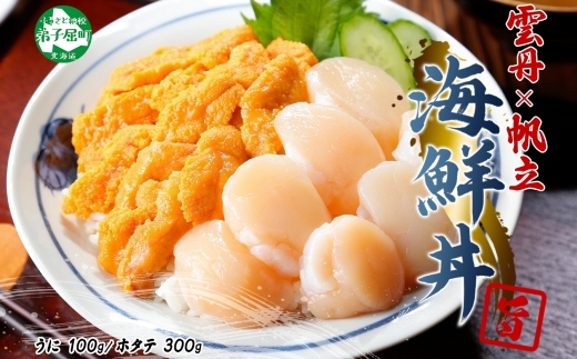 3208. うに チリ産 冷凍 100g ホタテ 300g セット ファミリー ウニ 雲丹 ほたて 生ほたて 帆立 貝柱 貝 海鮮 海鮮丼 送料無料 北海道 弟子屈町