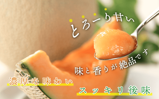★先行予約★3073.摩周メロン秀品２玉入り（1玉1.1kg以上）メロン　8月上旬より順次発送