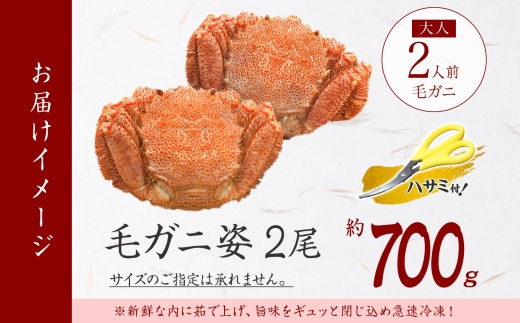 2458.毛蟹 2尾 計700g前後 食べ方ガイド・専用ハサミ付 カニ かに 蟹 海鮮 ボイル 送料無料 北海道 弟子屈町