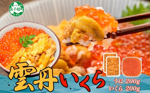 2495. ウニ チリ産 冷凍 100g×2個 いくら 200g 二色丼 うに イクラ 海鮮 期間限定 数量限定 送料無料 北海道 弟子屈町