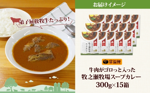 3024. ビーフ スープカレー 300g 15箱 カレー ビーフカレー スープ 牛 牛肉 放牧牛 牧場 レトルトカレー レトルト食品 レトルト 湯煎 レンジ 牧之瀬牧場 送料無料 北海道 弟子屈町