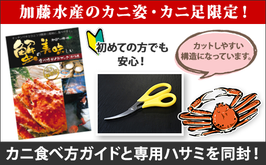 2479．訳あり ボイル タラバガニ足 1.5kg 不揃い 期間限定 約3-4人前 食べ方ガイド・専用ハサミ付 数量限定 足折れ 折れ 欠け カニ かに 蟹 海鮮 自宅用 北海道 弟子屈町