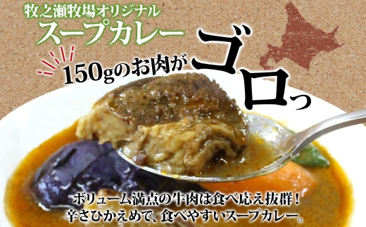 3021. ビーフ スープカレー 300g 2箱 カレー ビーフカレー スープ 牛 牛肉 放牧牛 牧場 レトルトカレー レトルト食品 レトルト 湯煎 レンジ 牧之瀬牧場 送料無料 北海道 弟子屈町