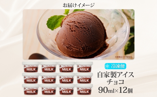 3221. 牧之瀬牧場 自家製アイス チョコ 90ml 12個 アイス 氷菓子 チョコ味 チョコレート フレーバー 牧場 手作り セット おやつ デザート スイーツ 冷凍 ギフト 送料無料 北海道 弟子屈町