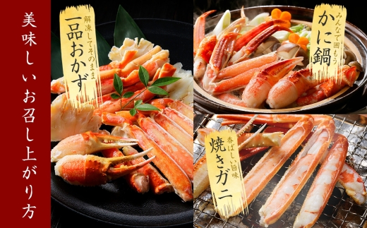 2554. ズワイガニ足 800g いくら醤油漬け 80g×2個 ホタテ 300g 蟹 海鮮 いくら イクラ 専用ハサミ付 カニ かに ほたて 帆立 ズワイガニ ずわいがに ズワイ ずわい セット 送料無料 期間限定 数量限定 北海道 弟子屈町