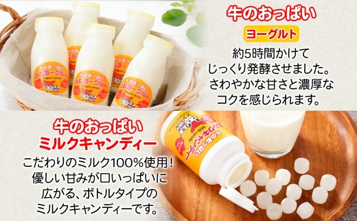 784.牛のおっぱいミルク 5本 コーヒーミルク5本 のむヨーグルト5本 計15本 おっぱいミルクキャンディー1個 セット 牛乳 生乳 ミルク 牛 酪農 飲料 しぼりたて 珈琲 ヨーグルト 飴 お取り寄せ ギフト gift まとめ買い 北海道 弟子屈町