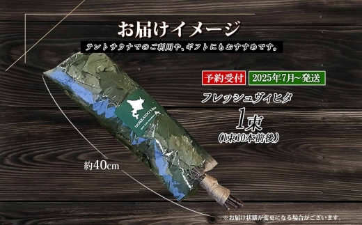 2025年 7月以降順次発送 1510.  フレッシュ 白樺 ヴィヒタ 1束 北海道 白樺 ヴィヒタ アロマ ウィスク インテリア サウナグッズ サウナ テントサウナ 北海道 弟子屈町 10000円