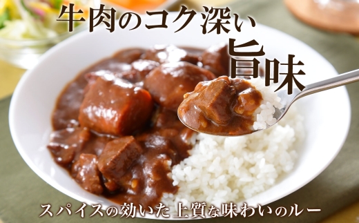 527.ビーフカレー 20個 セット 中辛 牛肉 業務用 レトルトカレー 備蓄 まとめ買い 北海道 弟子屈町