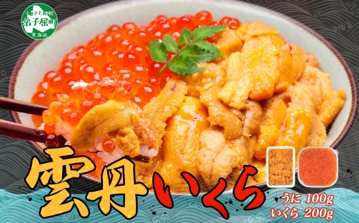 2495. ウニ チリ産 冷凍 100g×2個 いくら 200g 二色丼 うに イクラ 海鮮 期間限定 数量限定 送料無料 北海道 弟子屈町